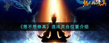想不想修真混沌灵台位置在哪